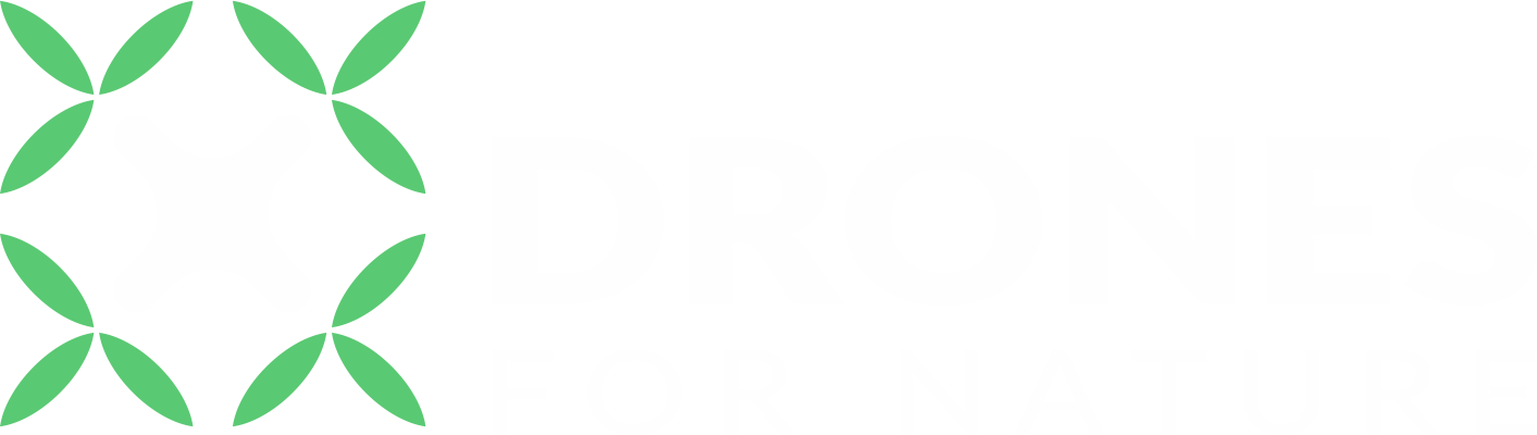 Strona główna